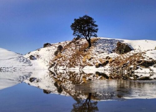 Brahmatal winter trek