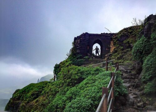 Flowering Special Ratangad Trek Pune