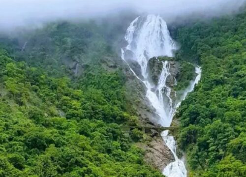 Dudhsagar waterfalls trek with Dandeli