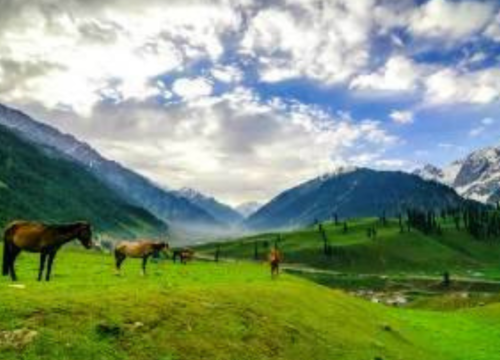 KASHMIR BACKPACKING TRIP