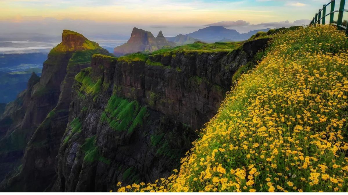 Flowering Special Harishchandragad Trek Mumbai