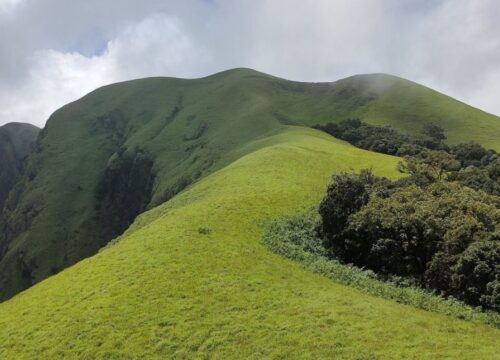 Nethravathi Peak Trek