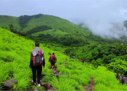 Tadiandamol Coorg Trek