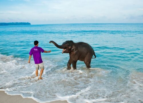 Amazing Andaman Deluxe